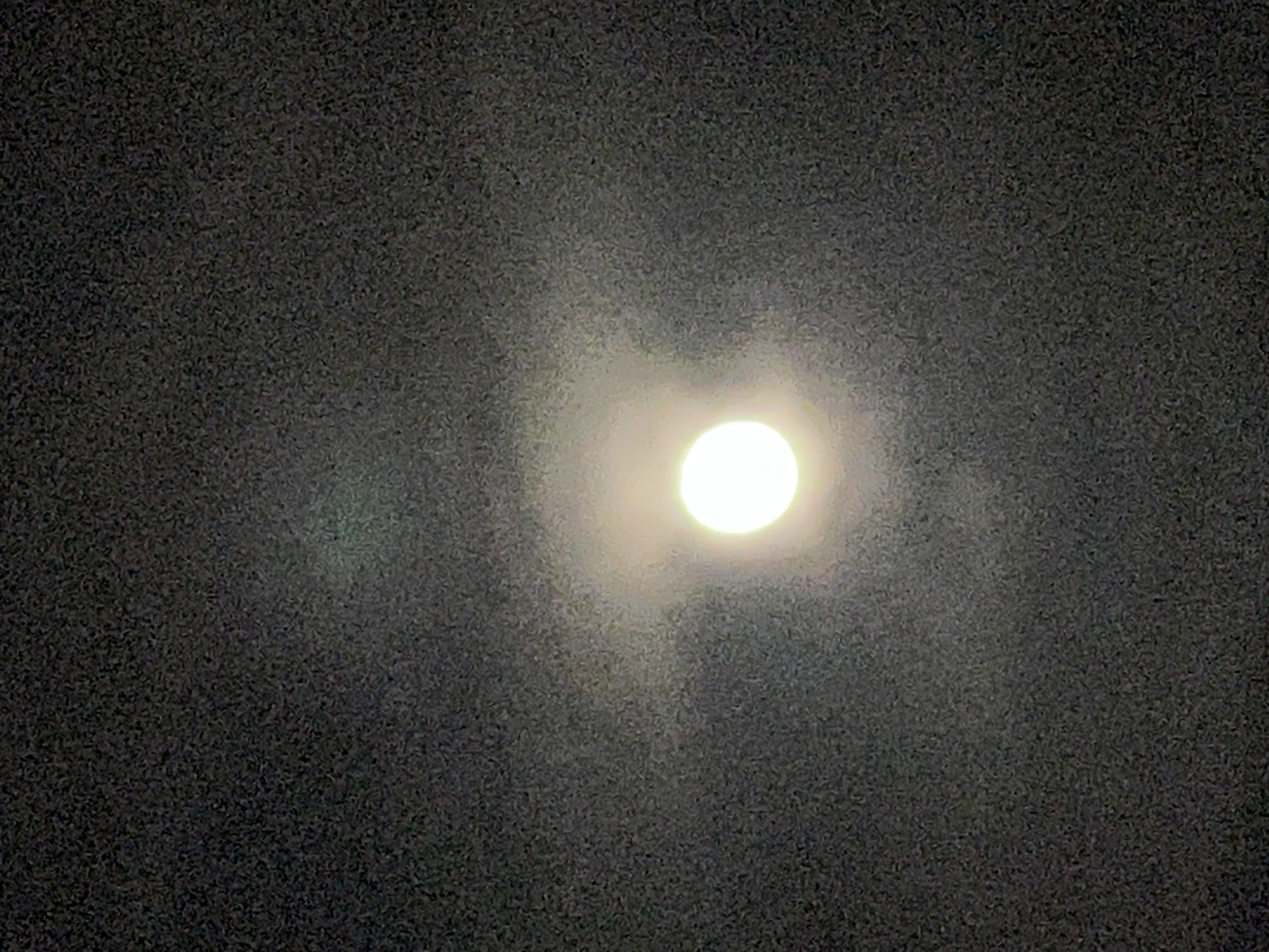 ./2025/12 - Pembroke Pines Wedding/IMG_7637.JPG